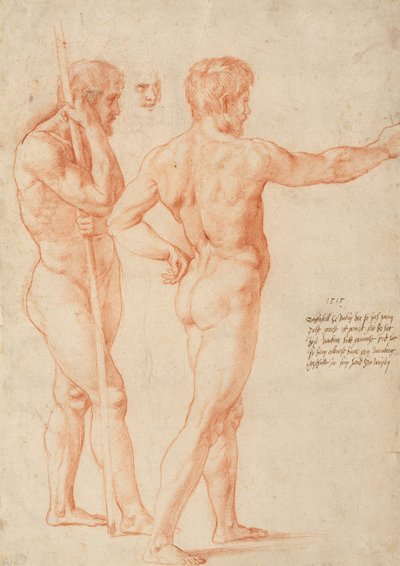 Nude Studies by Michelangelo Buonarroti